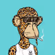 BeachApe88