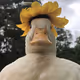 Accpet-me