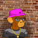 shep_analytics