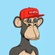 0x459bef0acc428832101f0f7cbff1ea1a9db35cc3