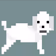 cryptopoodle