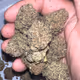 Juan_C_Cas420