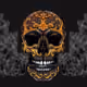 TripxRAYC
