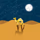 goldencamelNFT
