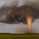 TornadoNFTseason
