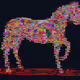 0x46005cf930e4369b5086459479e5aa1a83d6d26b