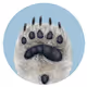 PolarBearToeNail