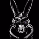 Cyber-Rabbit