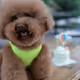 ChubbybearBaby