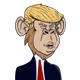fratalex