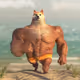 Swoledogebase