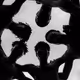 Kothegrapher
