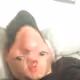 Bilbert