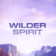 Wspirit