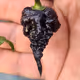 Freakypimentos