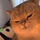 EHEH
