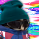 0xPotatoofdoom