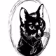 SketchyCAT