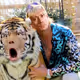 TigerScream