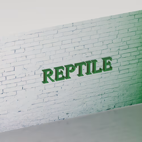 OpenSea banner for @reptile