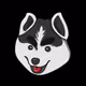 Husky_Dog_Galery
