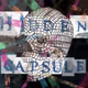 HiddenCapsule