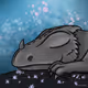 aquakomodo