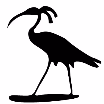 OpenSea profile picture for @Ibis
