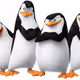 FashionPenguin