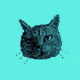 paul_gg