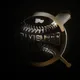 TheToppsCompany