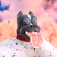 0x473d605ce23c84f0daca64097c6f14d044166dbf