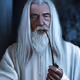 The_White_Wizard