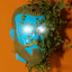 ThomasJohnJT