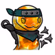 Crypto_SHIRO
