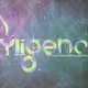 dyligence_vault