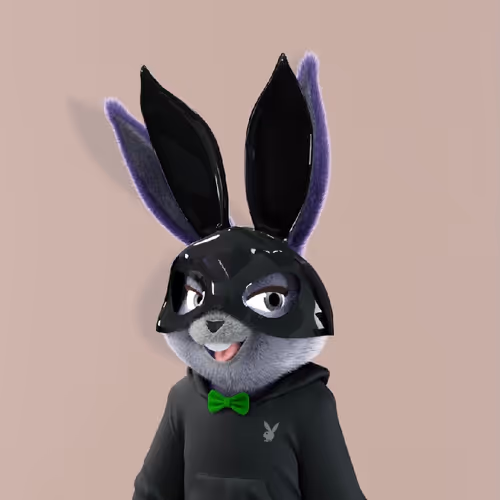 OpenSea profile picture for @Robcup