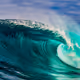 NFT-Surfer