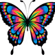 RainbowDash