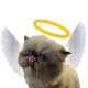0x47c28f861dfd75fae3e3f996c4d191cea4b139e1
