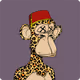DavidHaynesc913z