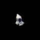HAgoteem