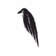 ravenMVC