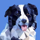 Dogs_Polygon