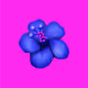 AprilFlowers