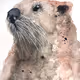 mykillabears