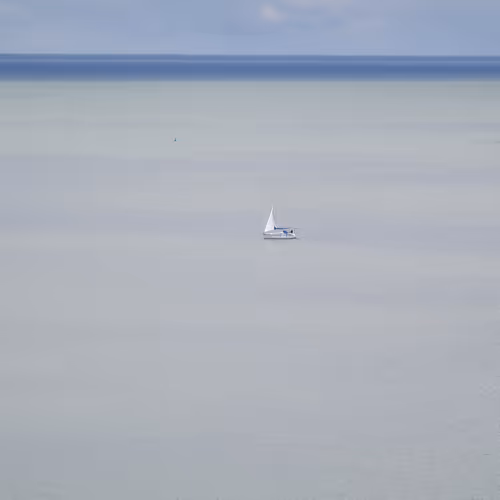 OpenSea banner for @Transitions