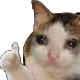 0x4847608817a8d4a3e9410bc888e325161bed4db9