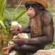 Kongz69
