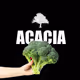 acacia_ebuy